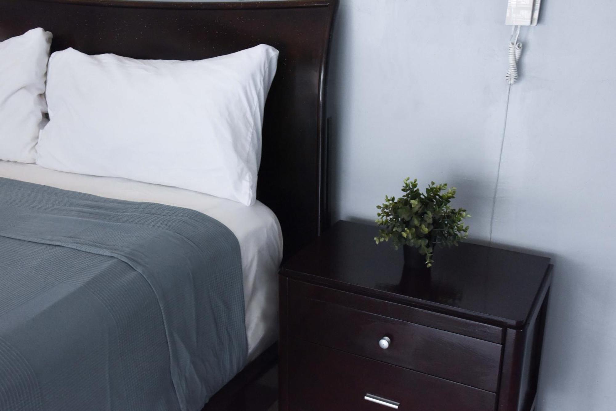 Hostel Gato Colonial Santo Domingo Dış mekan fotoğraf